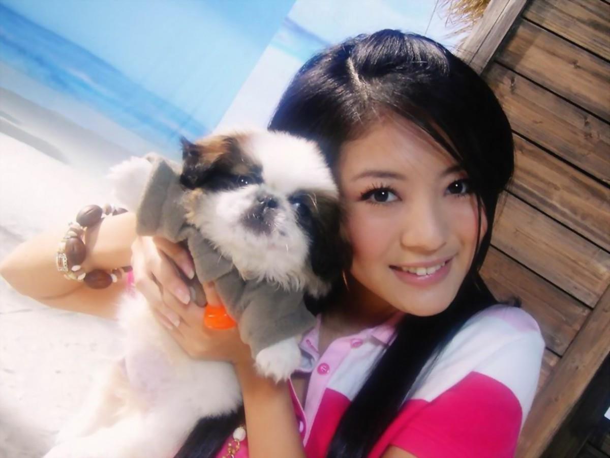 安以轩高清图片