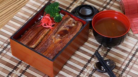 美味鳗鱼饭图片