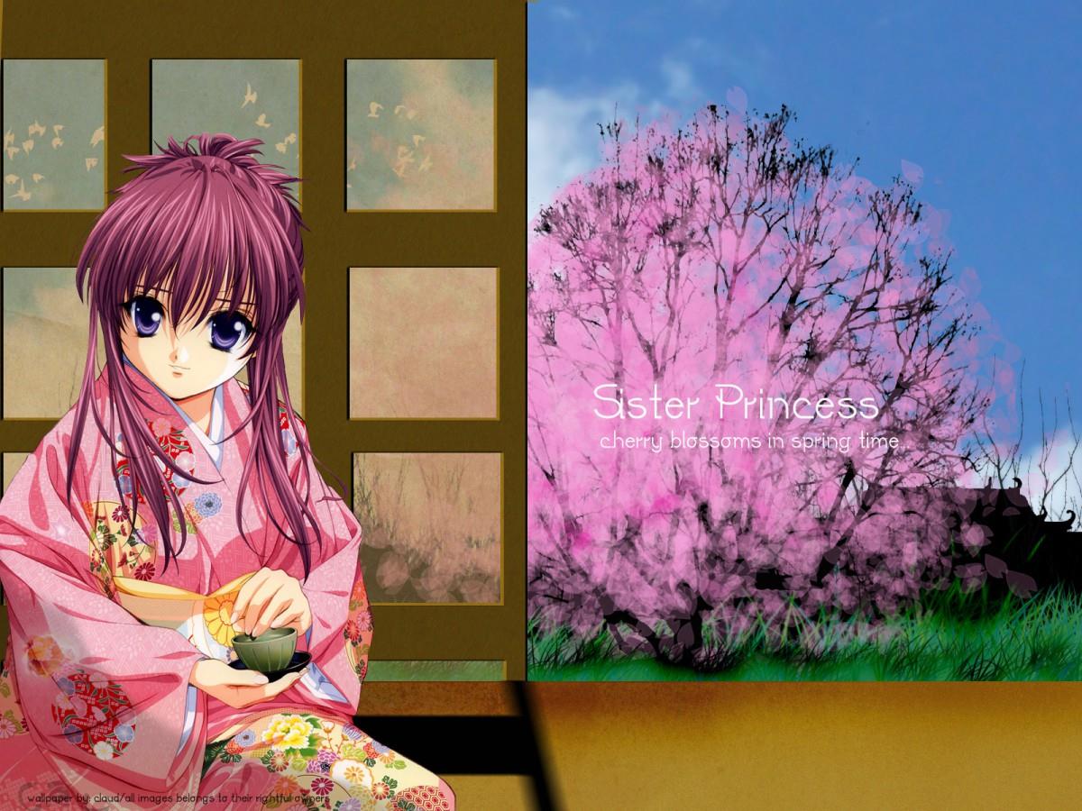 妹妹公主动画图片