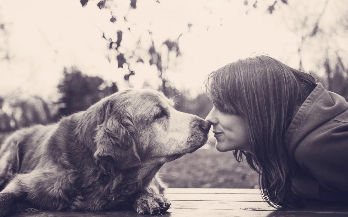 人与动物友好图片大全