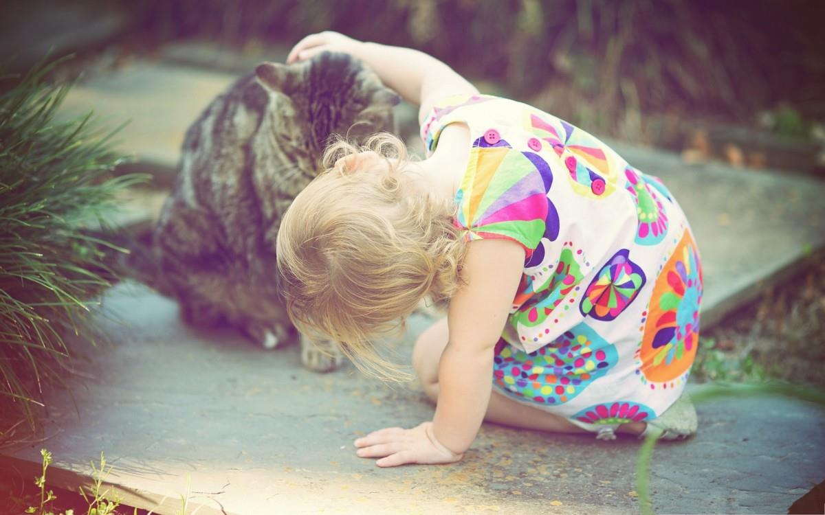 人与动物友好图片大全