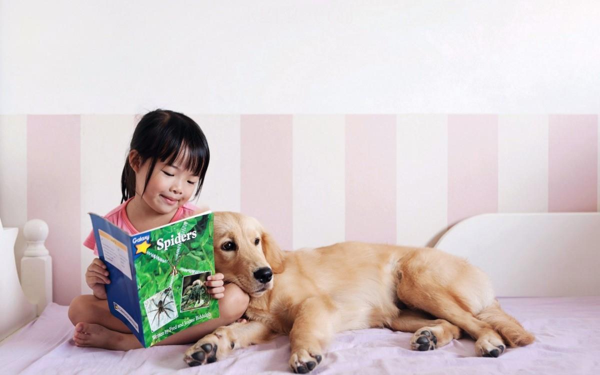 人与动物友好图片大全