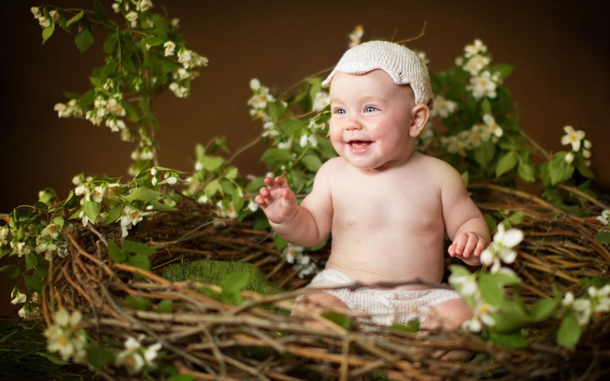 可爱婴儿宝宝农场图片