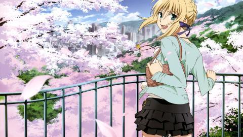 《Fate/stay night》saber图片