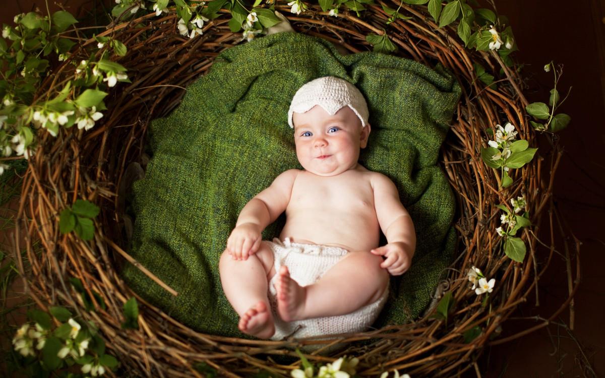 可爱婴儿宝宝农场图片