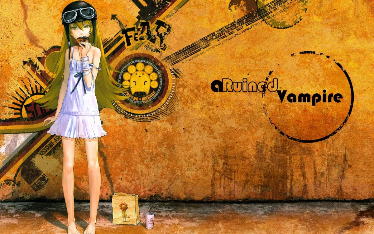 伪物语动漫图片