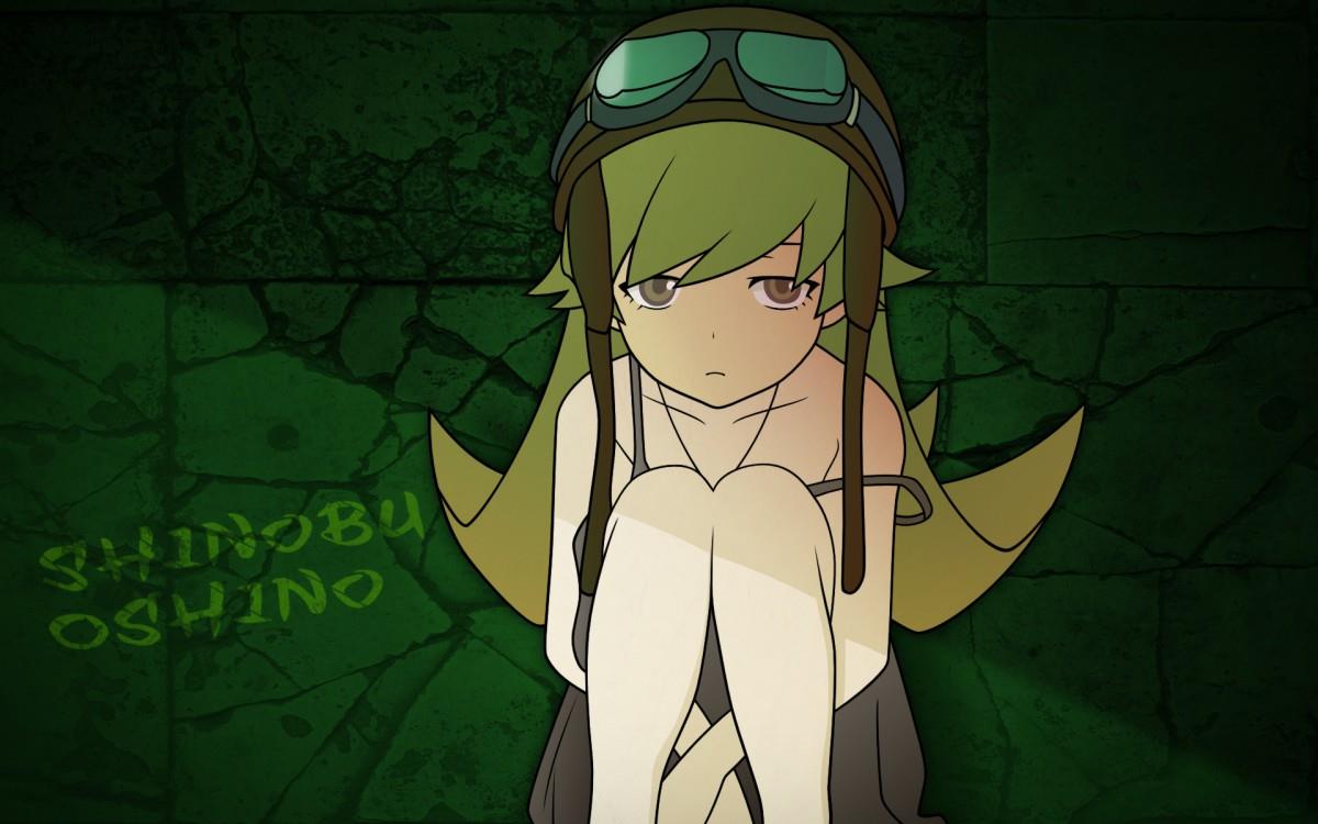 伪物语动漫图片