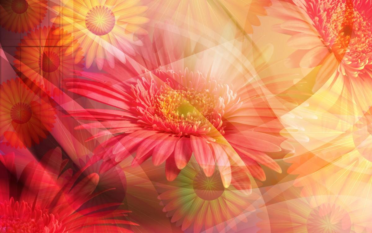 手绘鲜花图案图片