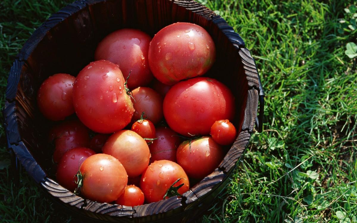 新鲜绿色健康蔬菜图片