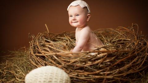 婴儿美食家图片