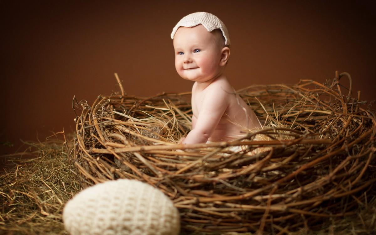 婴儿美食家图片