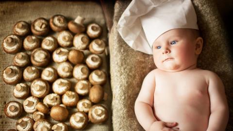 婴儿美食家图片