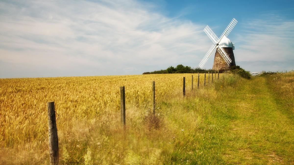 自然美丽风景图片