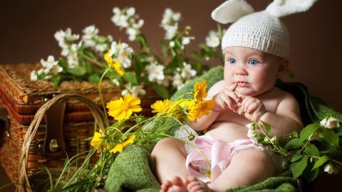 婴儿美食家图片