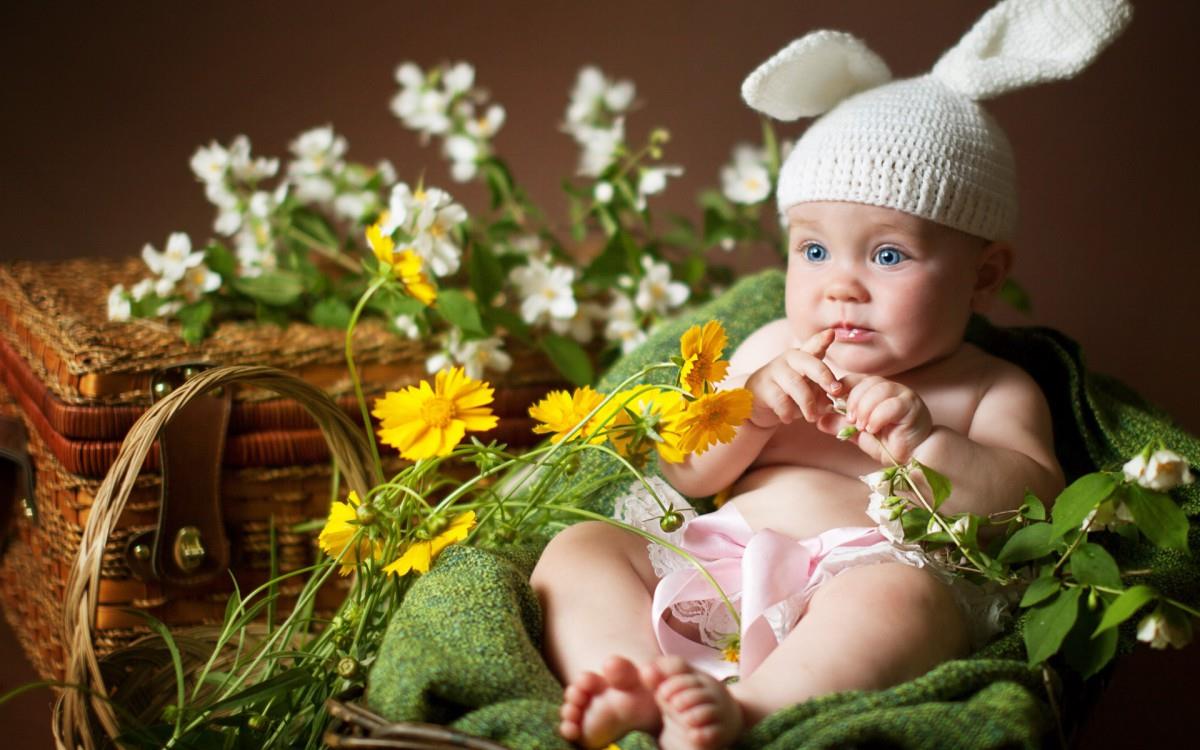 婴儿美食家图片