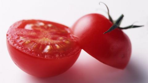 诱人的西红柿(番茄)图片大全