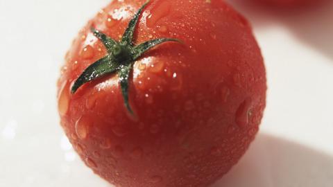 诱人的西红柿(番茄)图片大全