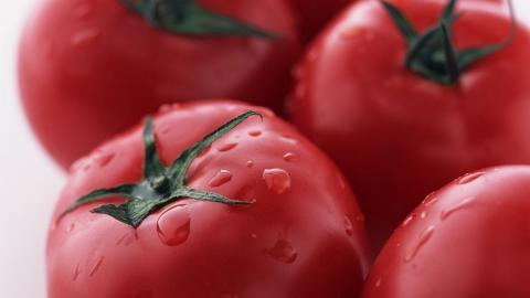 诱人的西红柿(番茄)图片大全