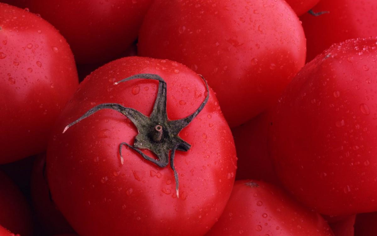 诱人的西红柿(番茄)图片大全