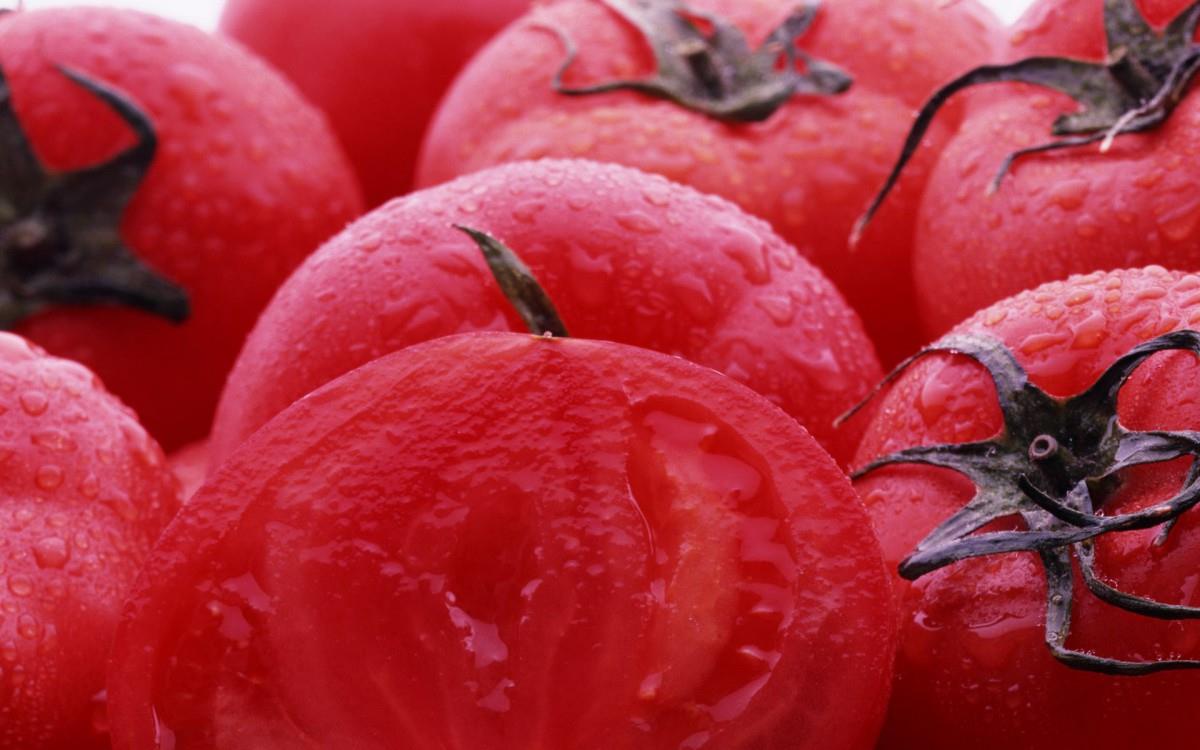 诱人的西红柿(番茄)图片大全