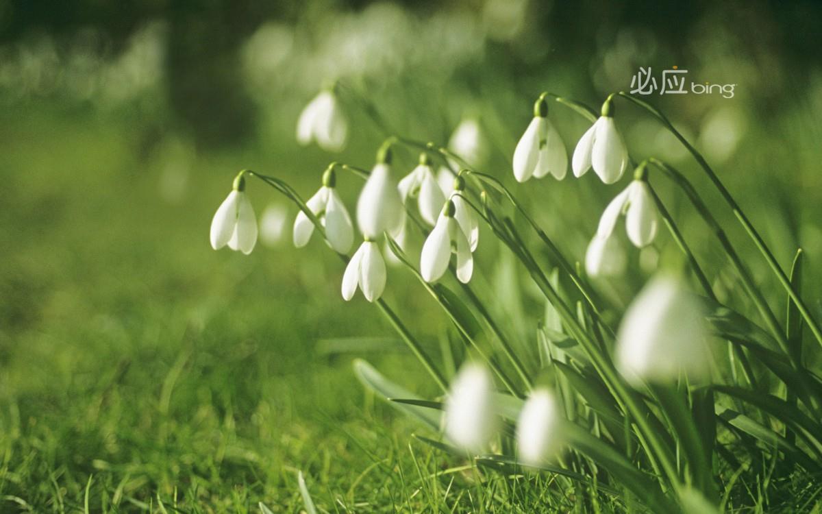 必应精选中国风景图片