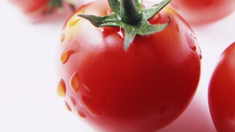 诱人的西红柿(番茄)图片大全