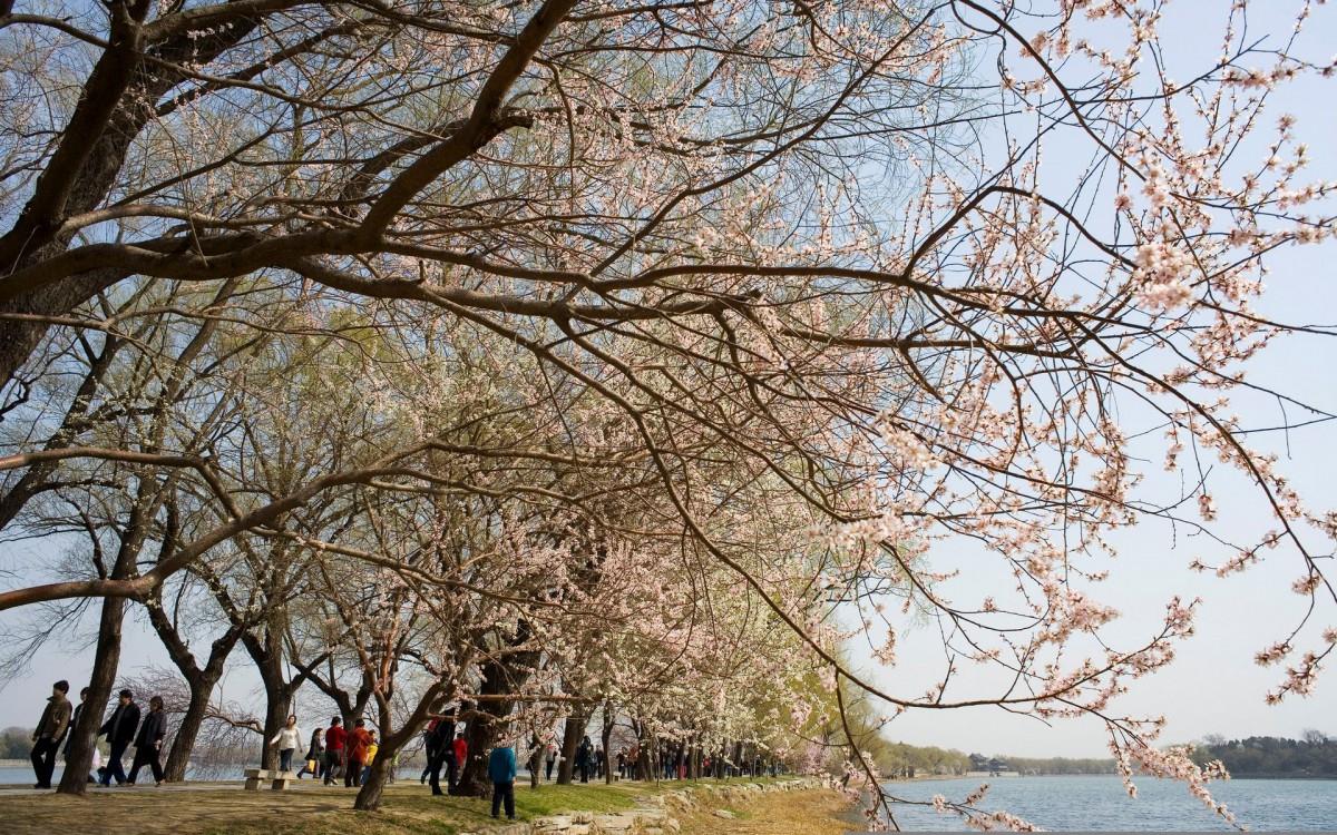 北京颐和园风景图片
