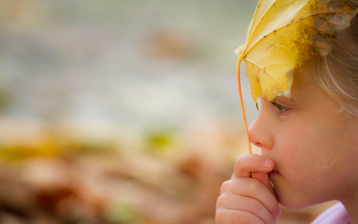 秋天的儿童图片