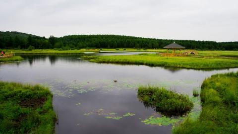 乌兰布统美丽湖泊图片大全