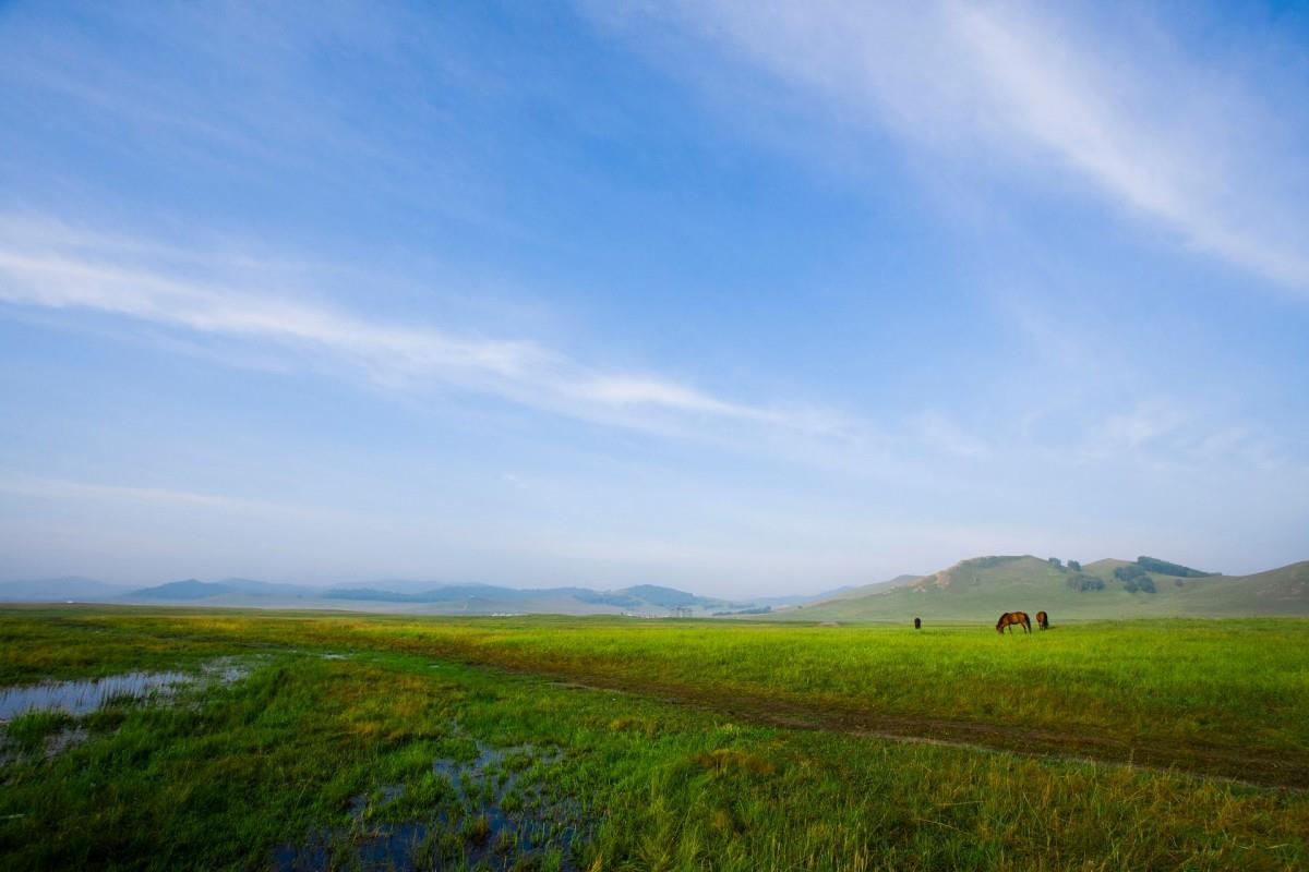 乌兰布统美丽湖泊图片大全