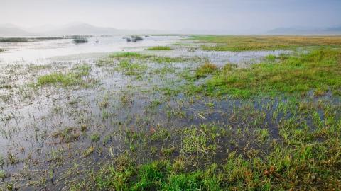 乌兰布统美丽湖泊图片大全