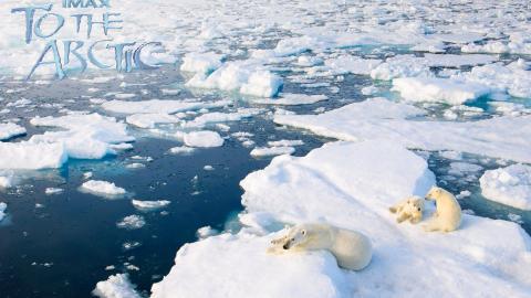 到北极去3D电影图片