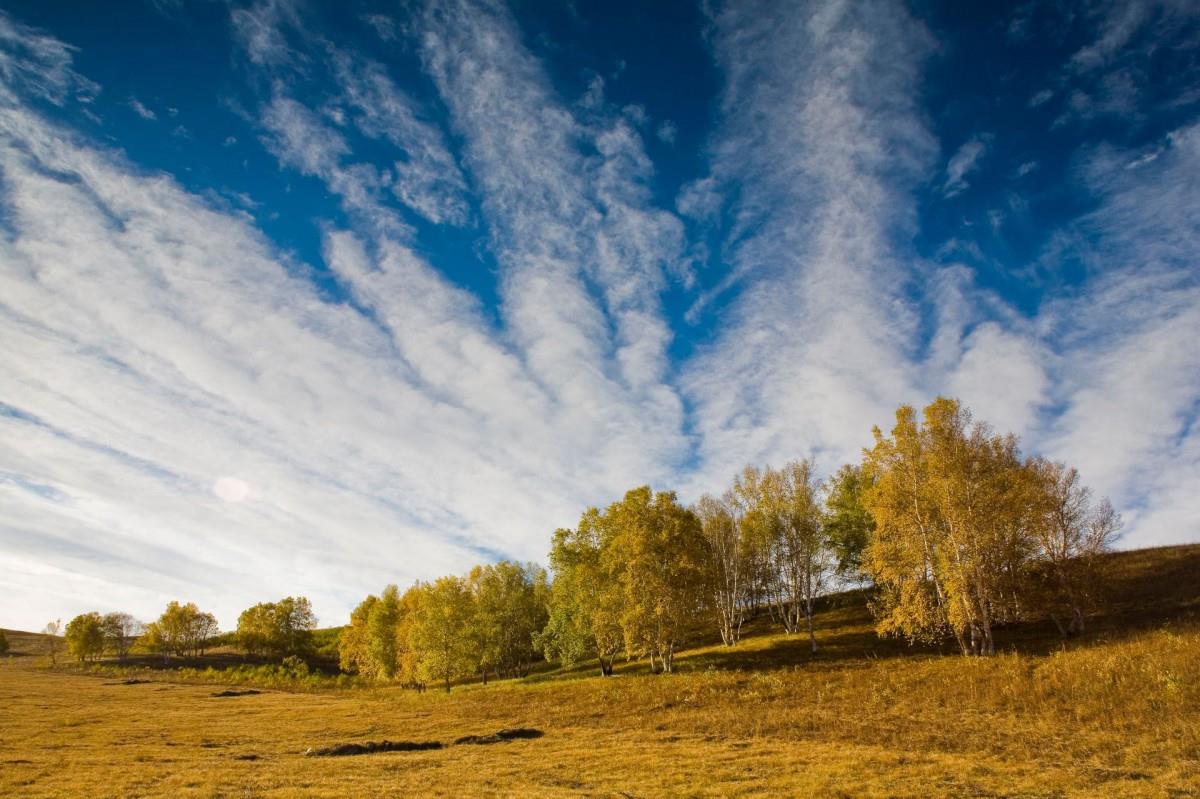 乌兰布统美丽湖泊图片大全