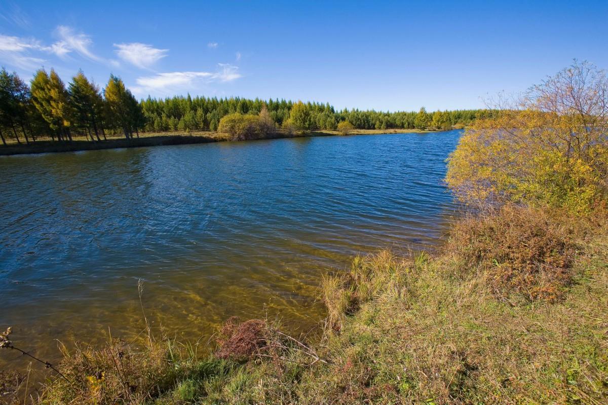 乌兰布统美丽湖泊图片大全