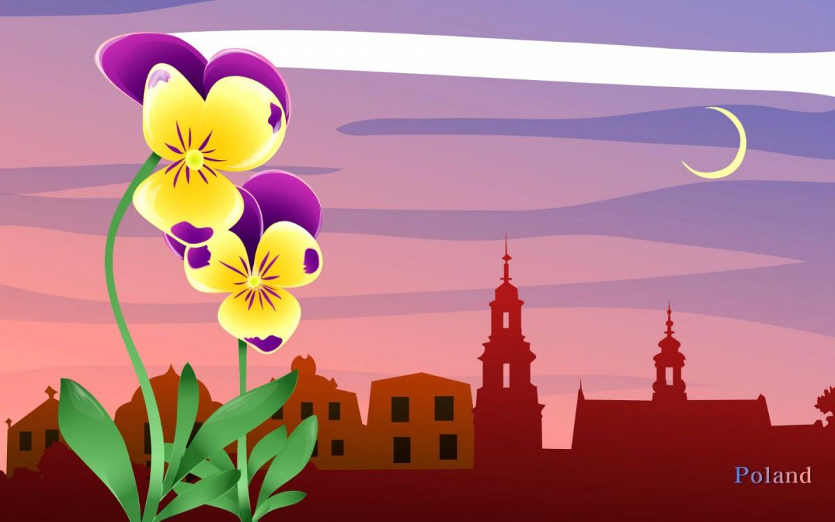 各国国花手绘图片