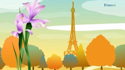 各国国花手绘图片