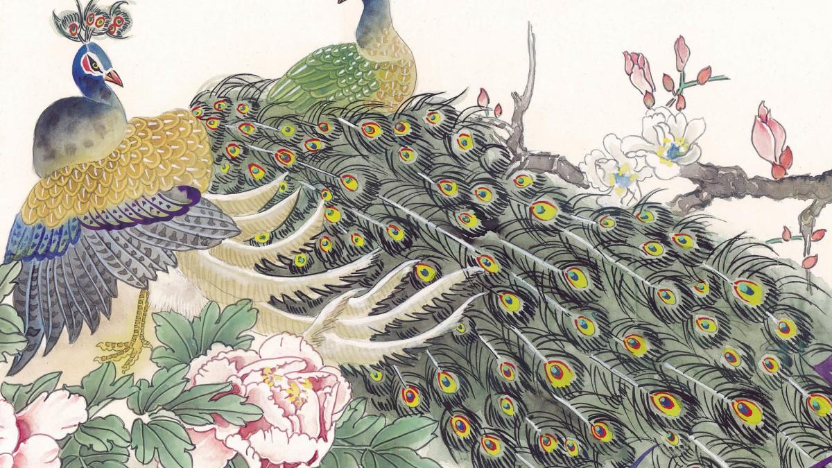 手绘国画鸟类图片