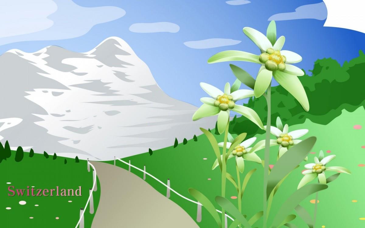 各国国花手绘图片