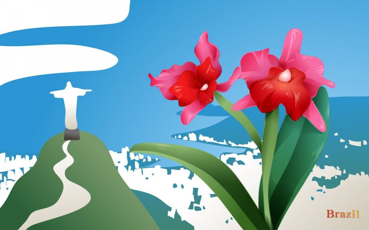 各国国花手绘图片