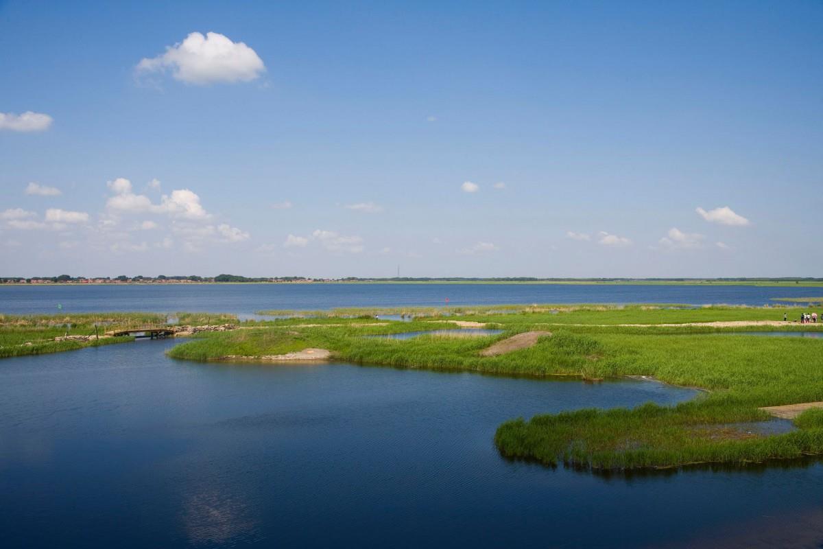齐齐哈尔扎龙自然保护区风景图片大全
