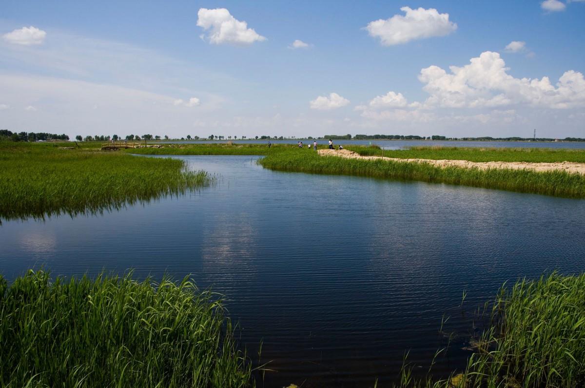 齐齐哈尔扎龙自然保护区风景图片大全
