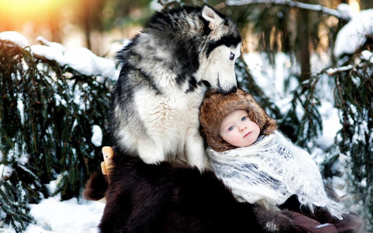 宝贝与宠物亲昵图片