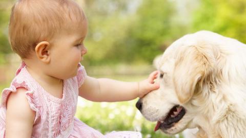 宝贝与宠物亲昵图片