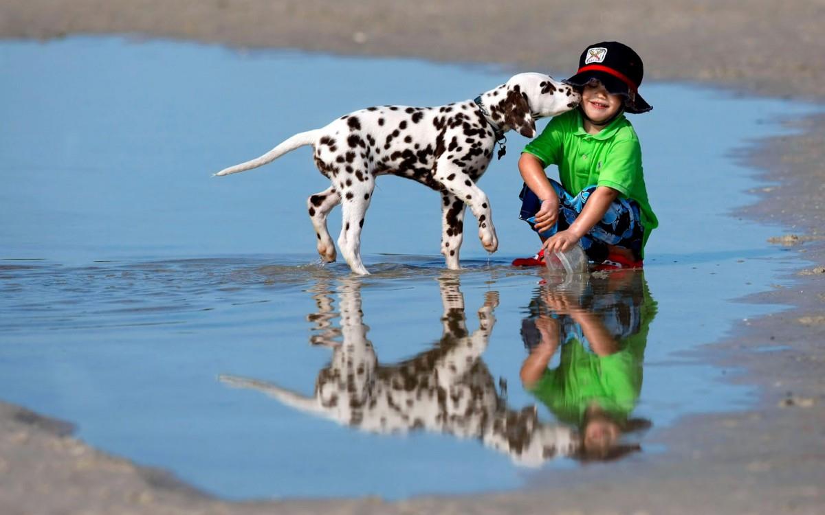 宝贝与宠物亲昵图片