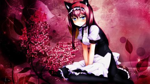 命运石之门动漫图片