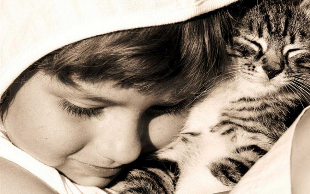 宝贝与宠物亲昵图片