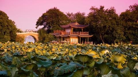 美丽的杭州西湖风光图片