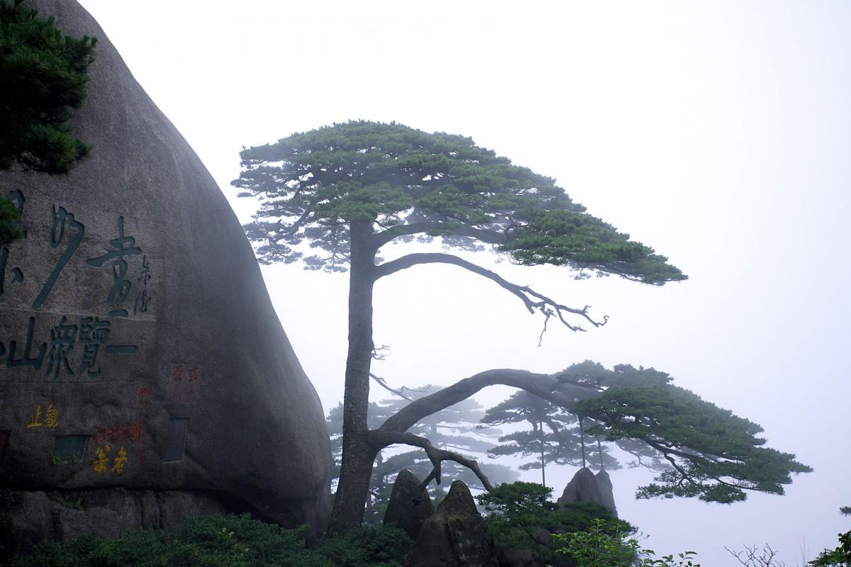 黄山国家地质公园风景图片