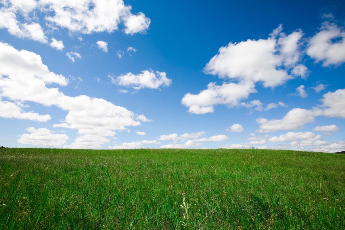 草原上的蓝天白云图片