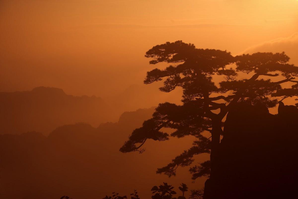 黄山国家地质公园风景图片